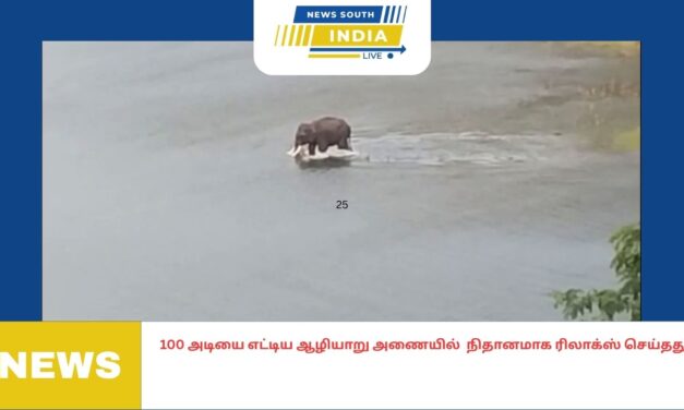 100 அடியை எட்டிய ஆழியாறு அணையில் நிதானமாக ரிலாக்ஸ் செய்தது