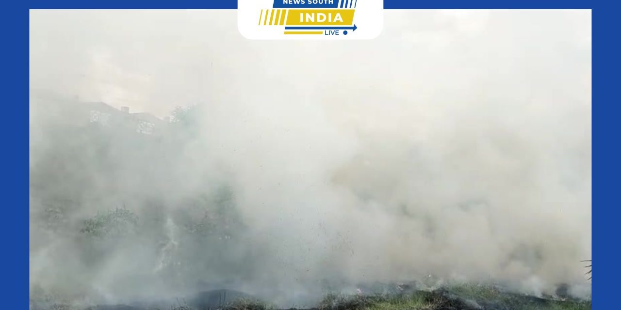 செங்கல்பட்டு மாவட்டம் மதுராந்தகம் மேல்மருவத்தூர் அருகே சென்னை To திருச்சி தேசிய சாலை ஓரத்தில் விளைந்திருந்த வயலில் தீப்பிடித்து எரிவதால் பரபரப்பு