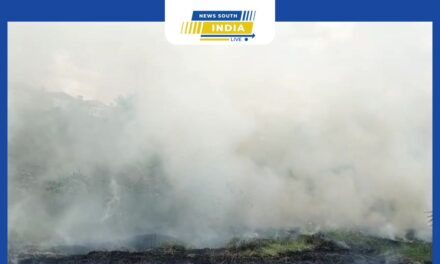 செங்கல்பட்டு மாவட்டம் மதுராந்தகம் மேல்மருவத்தூர் அருகே சென்னை To திருச்சி தேசிய சாலை ஓரத்தில் விளைந்திருந்த வயலில் தீப்பிடித்து எரிவதால் பரபரப்பு