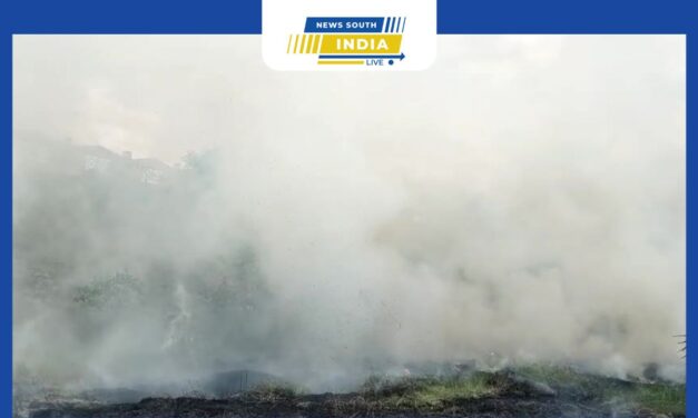 செங்கல்பட்டு மாவட்டம் மதுராந்தகம் மேல்மருவத்தூர் அருகே சென்னை To திருச்சி தேசிய சாலை ஓரத்தில் விளைந்திருந்த வயலில் தீப்பிடித்து எரிவதால் பரபரப்பு