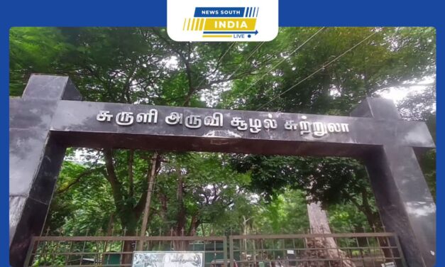 ஆடி அமாவாசையை முன்னிட்டு தேனி மாவட்டம் சுருளி அருவியில் முன்னோர்களுக்கு தர்ப்பணம் கொடுப்பதற்கு குவிந்த ஆயிரக்கணக்கான பொதுமக்கள் .