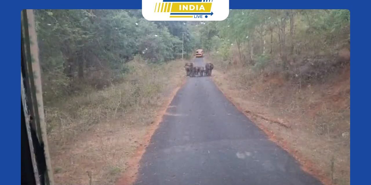 மேட்டுப்பாளையம் பில்லூர் சாலையில் அரசுப்பேருந்தை வழிமறித்த காட்டு யானை கூட்டம் – பயணி ஒருவர் எடுத்த வீடியோ வைரல்.