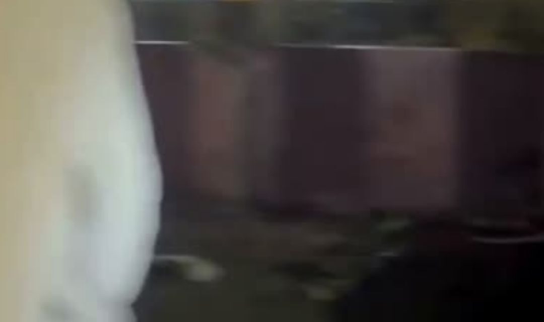 டெல்லி செங்கோட்டையை அதிரவைத்த கார் வெடிப்பு! 🔥