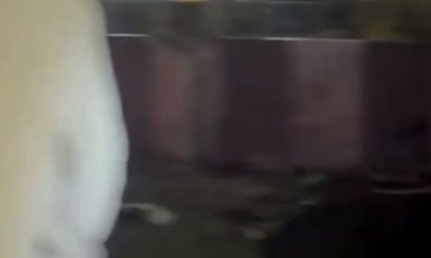 டெல்லி செங்கோட்டையை அதிரவைத்த கார் வெடிப்பு! 🔥